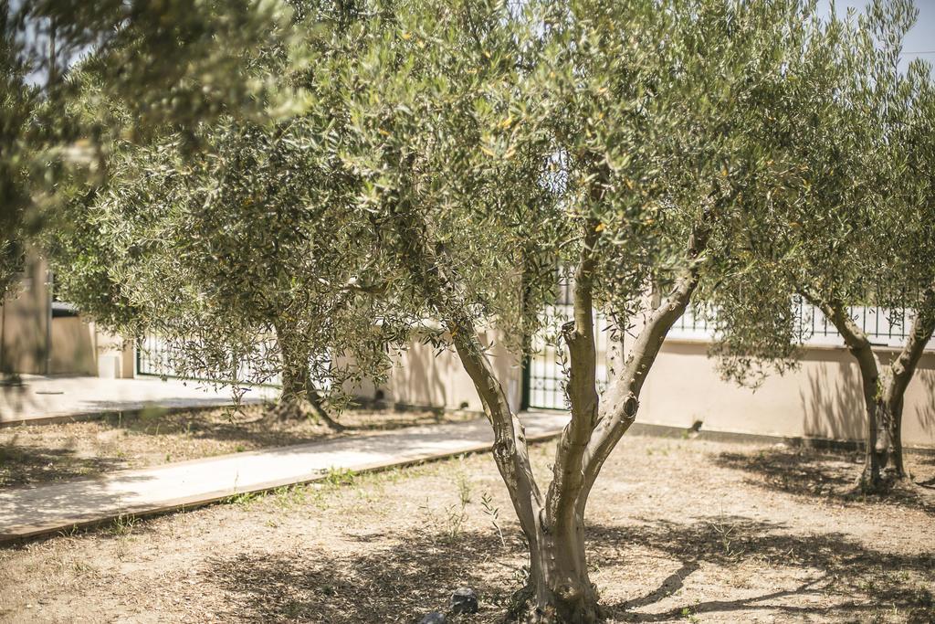 Olive Tree Apartments Fúrka Kültér fotó